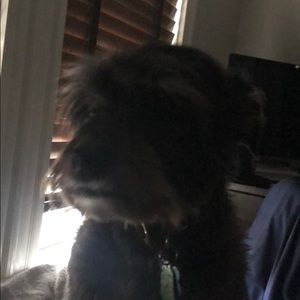 Meet your Posher, Nicolas